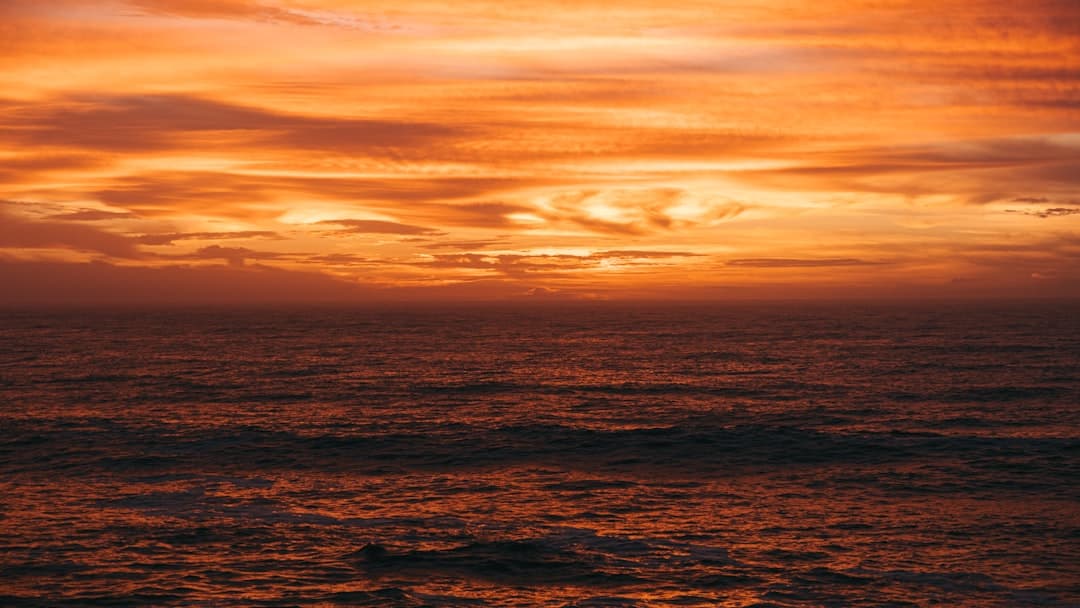 Surf în Portugalia: Airbnbs de Vis